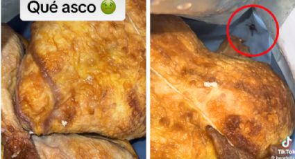 Mujer encuentra larvas en pollo rostizado de Costco