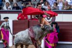 Aprueban nuevamente las corridas de toros en la Plaza México