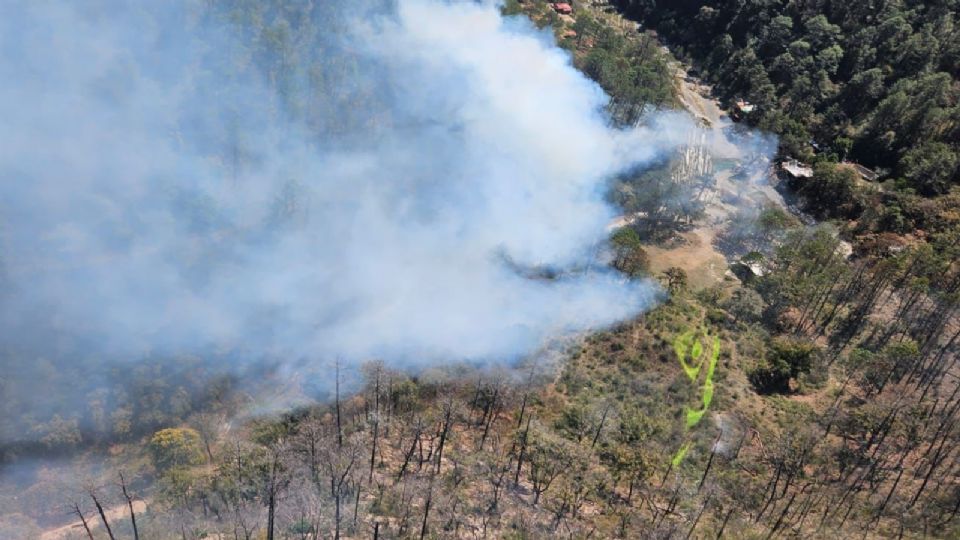 Incendio en la zona de Las Adjuntas.