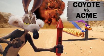 Coyote vs. Acme: ¿Por qué la película puede ser archivada y eliminada?