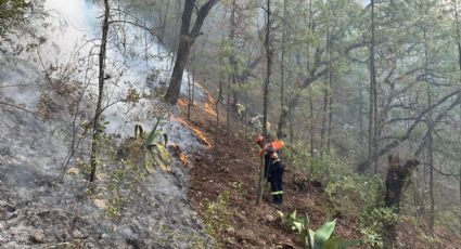 Continúa PC trabajos de sofocación tras incendio en sierra de Santiago