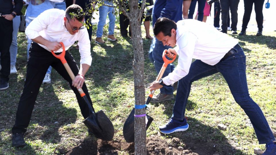 Los alcaldes Luis Donaldo Colosio de Monterrey y Daniel Carrillo de San Nicolás, plantaron 50 encinos en la plaza pública en la colonia Industrias del Vidrio, zona colindante con ambos municipios.