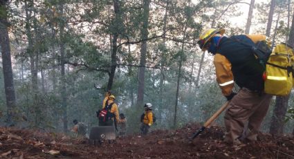 Controlan incendio forestal en la sierra de Santiago; mantendrán vigilancia