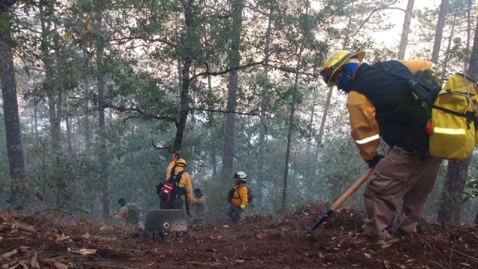 Elementos de Protección Civil en trabajo de sofocación de incendios.