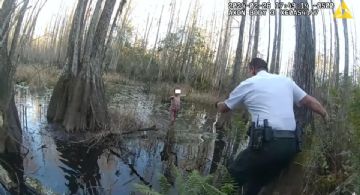 Encuentran en pantano a niña extraviada en Florida