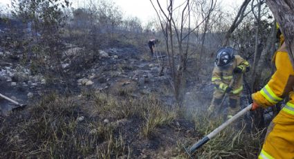 Quema de basura provoca incendio en el cerro de La Silla; se pierden 3 hectáreas de vegetación