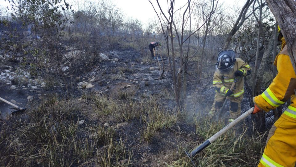 Elementos de bomberos atendiendo incendio.