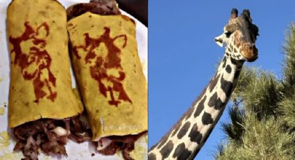 'Benitaco', crean tacos con la imagen de la Jirafa Benito