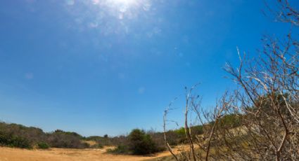 Emiten alerta por próxima llegada de fenómeno La Niña a México