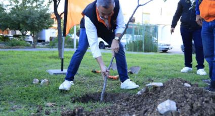 Propone diputado de MC 'ciudades verdes' para combatir contaminación en NL