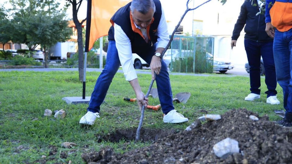 Con el objetivo de impulsar la creación de 'ciudades verdes' y promover una regeneración urbana integral en los municipios de Nuevo León, el diputado local Héctor García ha propuesto la unión de los 51 ayuntamientos para combatir la contaminación y sus impactos en la salud de la población.

