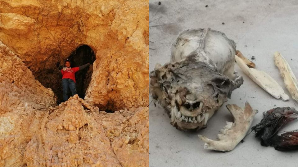 Encuentran cráneo humanoide con colmillos en cuevas de ejido de Coahuila | Facebook / Ejido Mala Noche