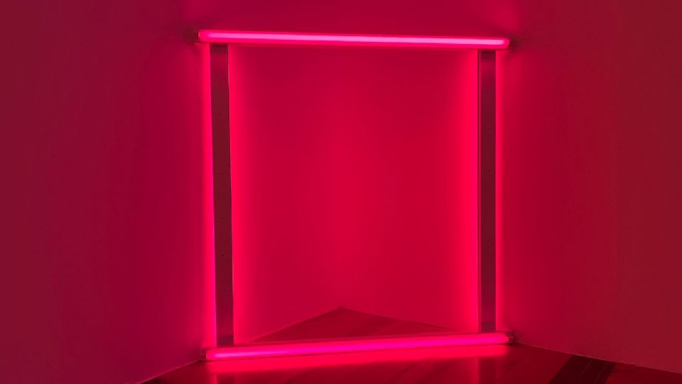 Dan Flavin, untitled (to Janet and Allen).