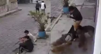 Video: Jóvenes son atacados por una jauría de perros en Metepec