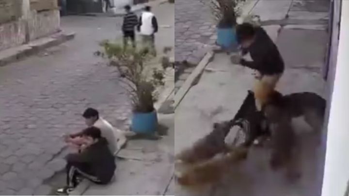Video: Jóvenes son atacados por una jauría de perros en Metepec