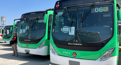 Transmetro eléctrico: Plantean servicio gratis en ruta Exposición – Pablo Livas