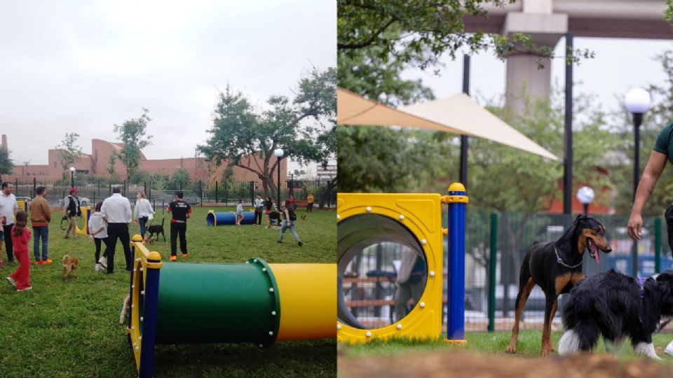 Zona canina del Parque Fundidora.