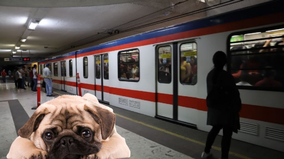 Vagones del Metrorrey.