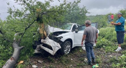 Conductor derrapa e impacta su auto contra árbol en la Carretera Nacional