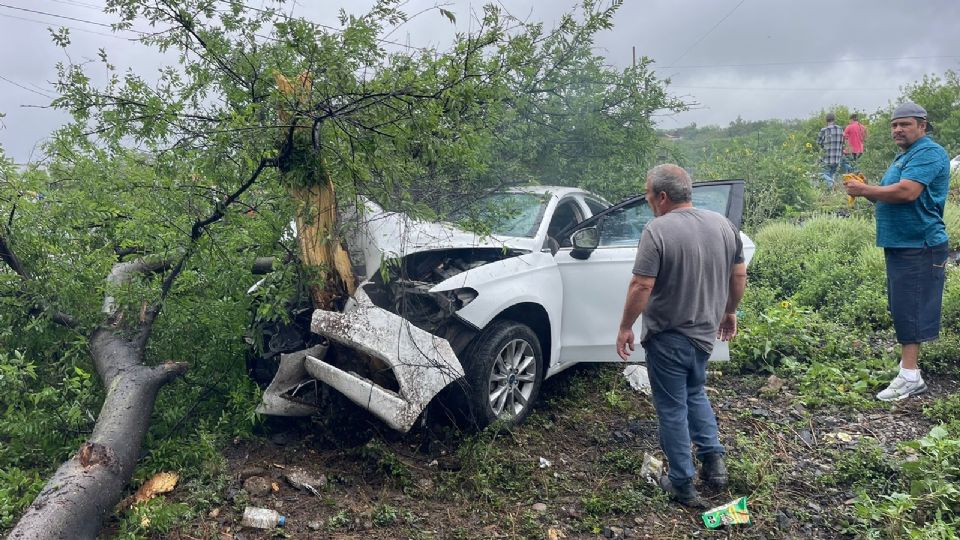 Auto derrapa y se estrella contra árbol en la Carretera Nacional