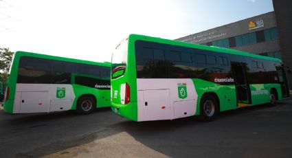 Inicia operaciones nueva ruta de transmetro, ¿cuál será su recorrido?