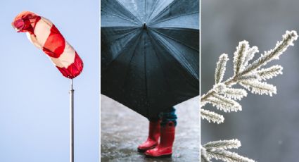 Se juntan frente frío 42 y tormenta invernal 8: ¿Qué afectaciones traerá?