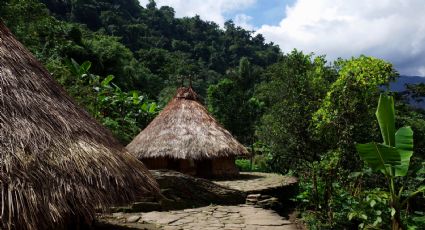 Mueren envenenados 5 niños indígenas en Colombia