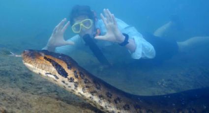 Matan a la anaconda más grande del mundo recién descubierta en el Amazonas