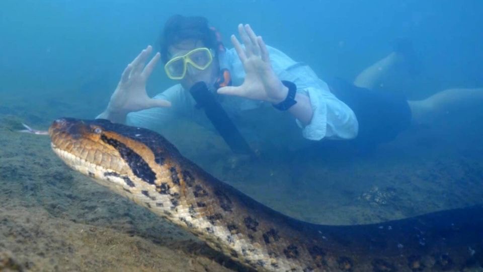 Matan a la anaconda verde más grande del mundo en el Amazonas