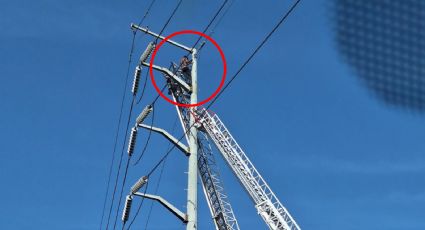 Hombre permanece 6 horas en lo alto de torre de electricidad en Morones Prieto