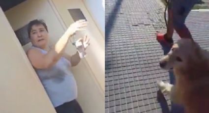 Mujer lleva a su perro de 9 años a una carnicería y pide que lo maten en Argentina