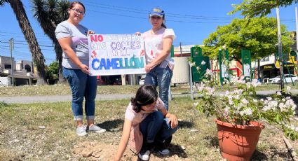 Pedirán al gobierno de Monterrey apoyo para evitar que área verde sea usada como estacionamiento