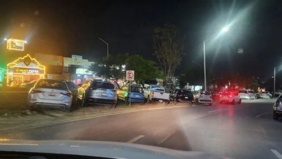 Camellón verde utilizado como estacionamiento.