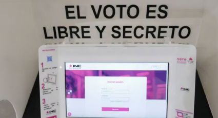 Pese a errores en credenciales, mexicanos en el extranjero podrán votar: INE