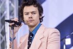 Fan de Harry Styles es condenada a prisión por acosar al cantante