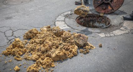 ¿Qué es la masa amarillenta que fue hallada en el drenaje de Monterrey?