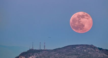 Esta noche México será testigo de la Luna Rosa, ¿en qué consiste este fenómeno?