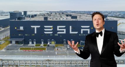 Ganancias de Tesla caen hasta en un 55% en el primer trimestre del año