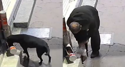 Indigna video de hombre robando croquetas a perrito callejero en Edomex