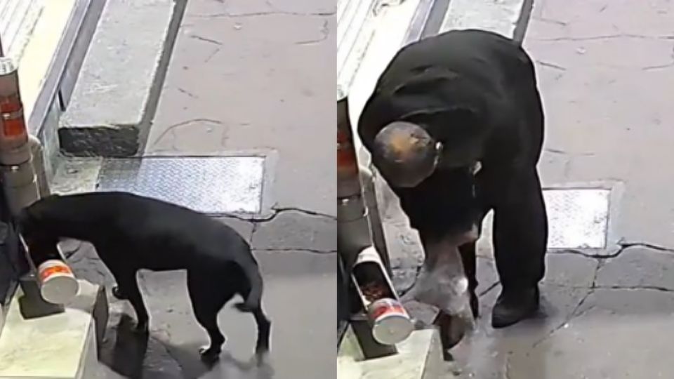 Hombre en el Estado de México roba croquetas a un perrito en situación de calle