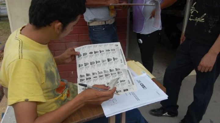 Llevará años revertir apatía política de jóvenes: Expertos