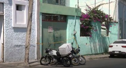 Hombre que coleccionaba arañas fue mordido por una y murió en Guadalajara