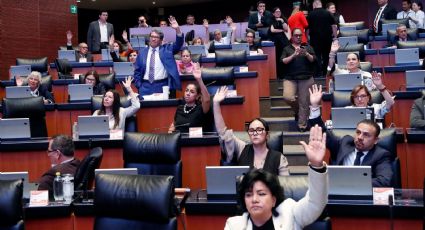 Senado de la República aprueba reformas contra Terapias de Conversión Sexual