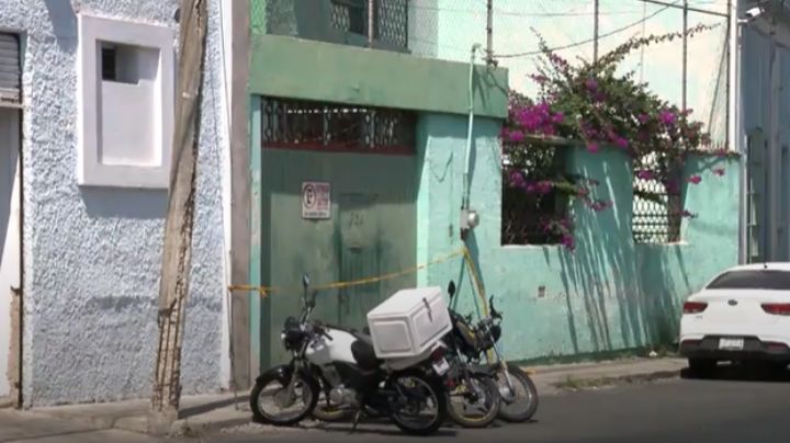 Hombre que coleccionaba arañas fue mordido por una y murió en Guadalajara