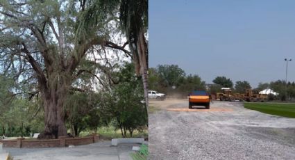 Rehabilitan camino al parque “El Sabino Gordo” en Terán