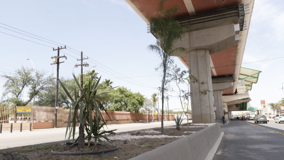 Plantan árboles Línea 2 del Metro