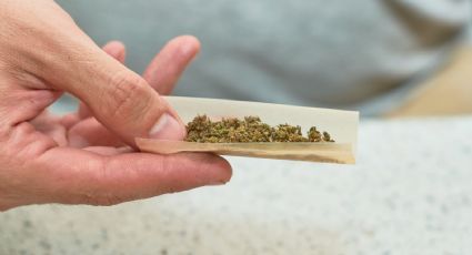 Estiman que EU clasificará la marihuana como droga de bajo riesgo