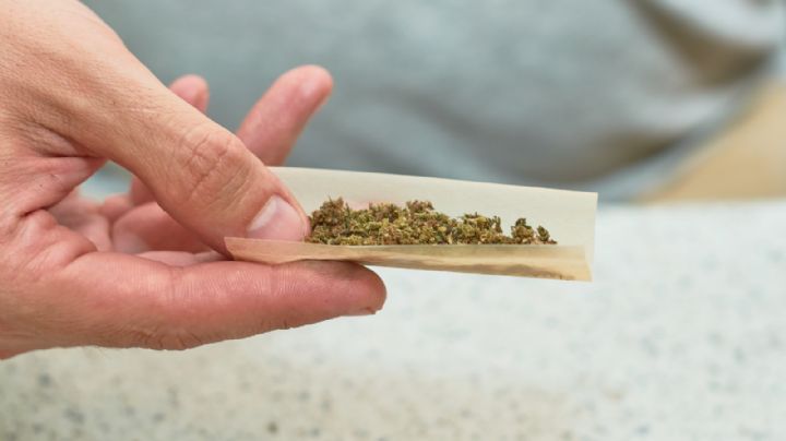 Estiman que EU clasificará la marihuana como droga de bajo riesgo