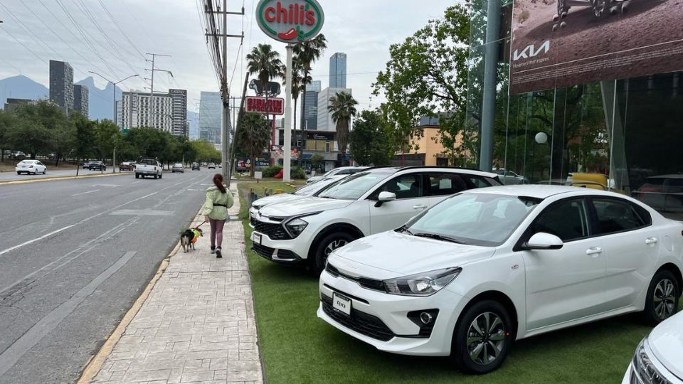 Mujer pasea junto a sus perros sobre pequeña banqueta