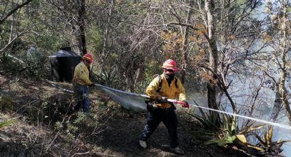 Sofocan 2 incendios forestales en Tamaulipas